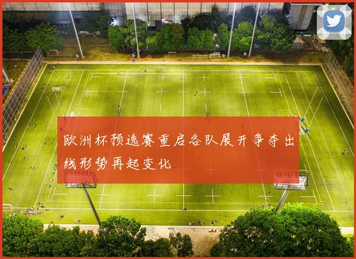 欧洲杯预选赛重启各队展开争夺出线形势再起变化
