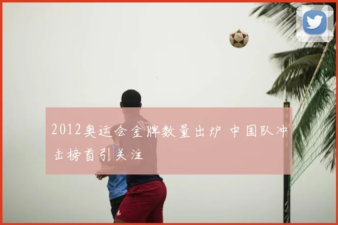 2012奥运会金牌数量出炉 中国队冲击榜首引关注