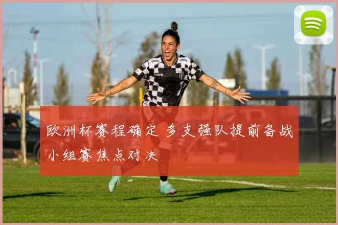 欧洲杯赛程确定 多支强队提前备战小组赛焦点对决