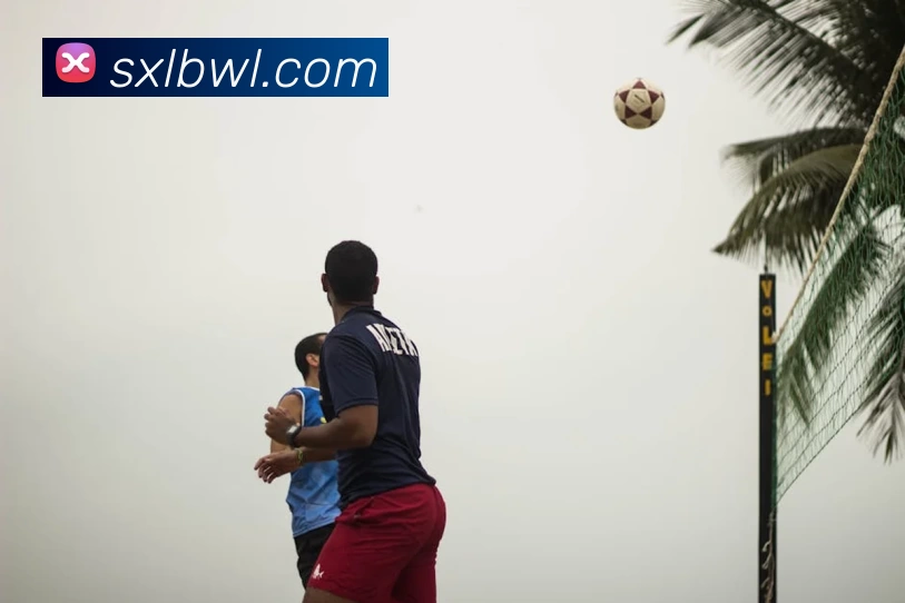 App Interface Preview